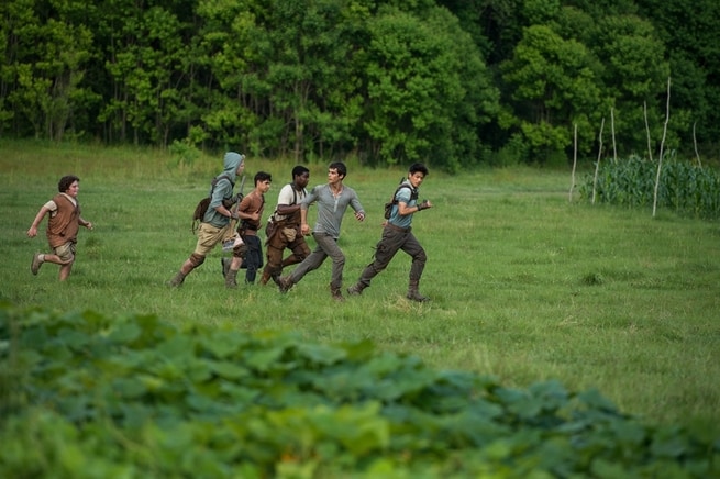 Blake Cooper, Will Poulter, Thomas Brodie-Sangster, Dylan O'Brien, Ki Hong Lee, Dexter Darden