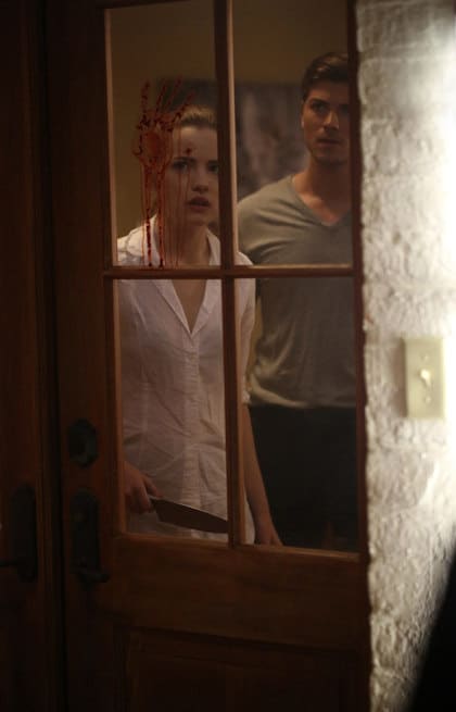 Willa Fitzgerald, Amadeus Serafini