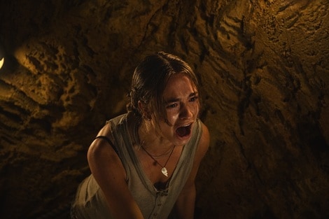 Ben – Rabbia animale: Quando l’istinto prende casa