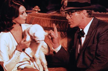 Caccia al film #11 - La caccia è riaperta!