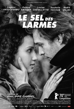 locandina di Il sale delle lacrime
