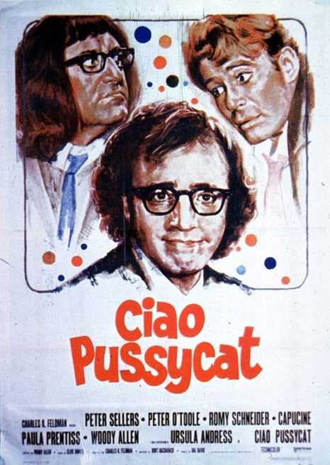 Ciao Pussycat (1965) | FilmTV.it