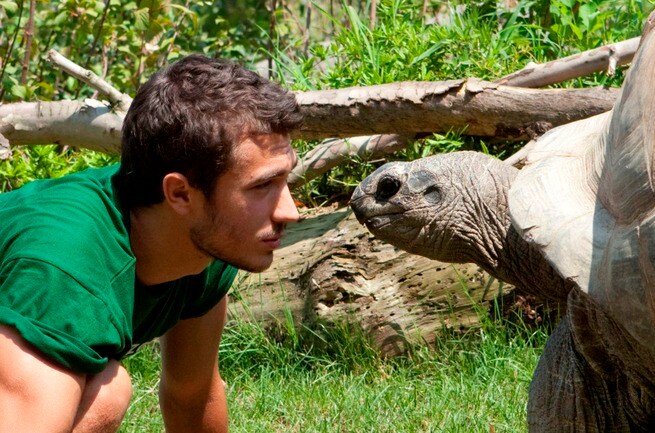 La luna su Torino (2013) Streaming FilmTV.it