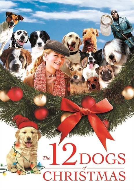 Foto Cani Di Natale.I 12 Cani Di Natale 2005 Streaming Filmtv It