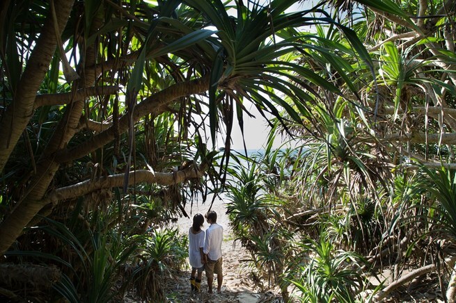 STILL THE WATER: LA FORZA DELLA NATURA PER UN'OPERA PERSONALISSIMA