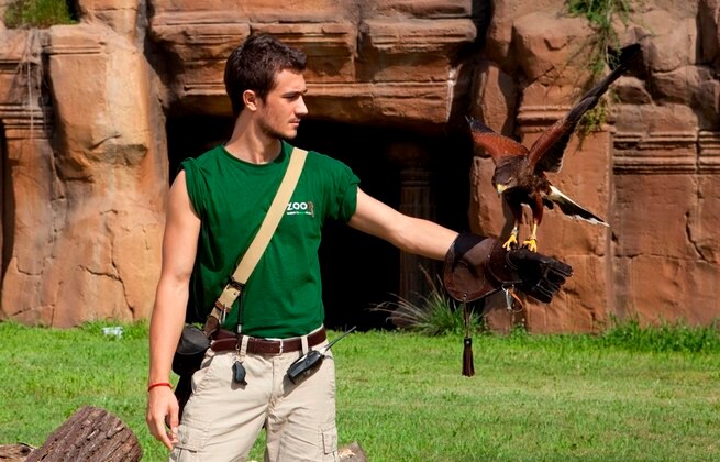 La luna su Torino (2013) FilmTV.it