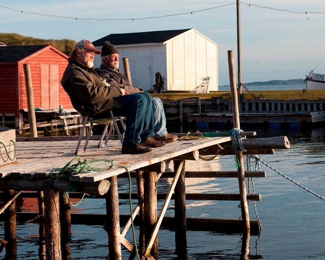 Gordon Pinsent, Brendan Gleeson