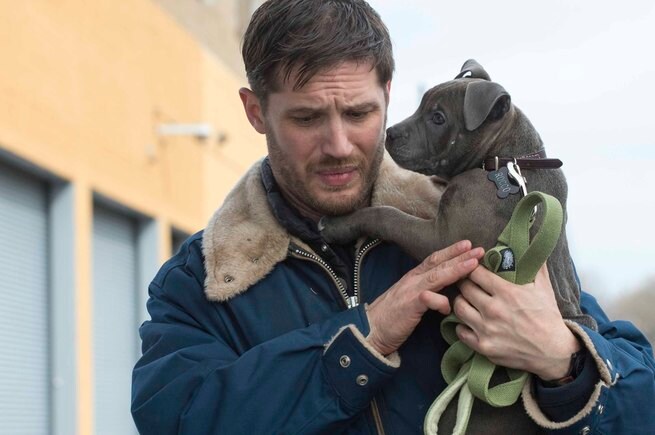 Tom Hardy