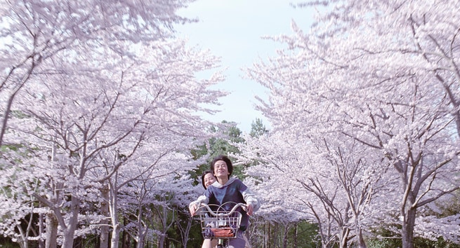 Ohshirô Maeda, Suzu Hirose