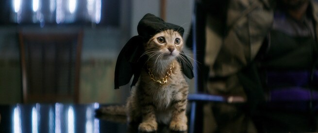 KEANU: IL RAPIMENTO DI UN DOLCE GATTINO