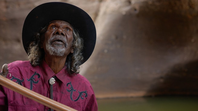 David Gulpilil