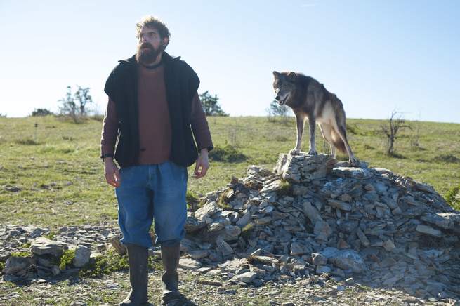 STAYING VERTICAL: IN PIEDI DI FRONTE AL LUPO