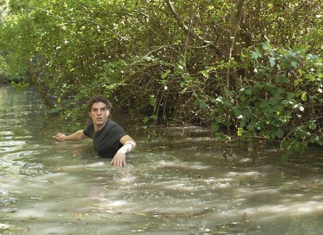 STAYING VERTICAL: IN PIEDI DI FRONTE AL LUPO