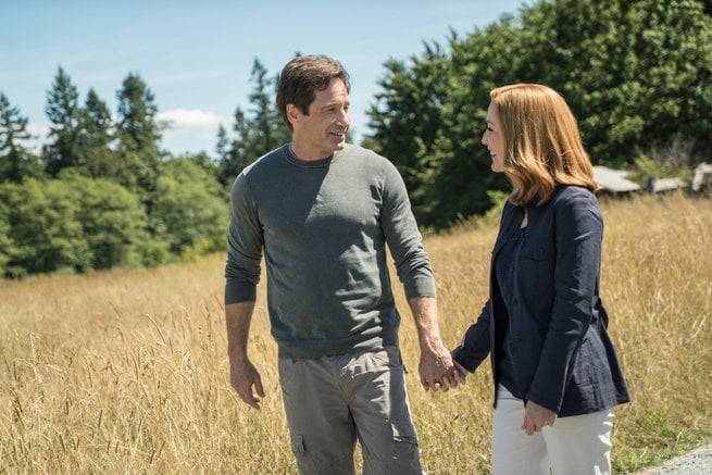 Gillian Anderson, David Duchovny