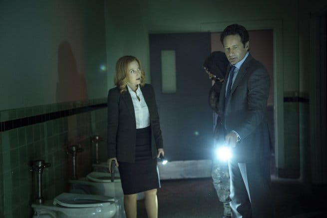 David Duchovny, Gillian Anderson