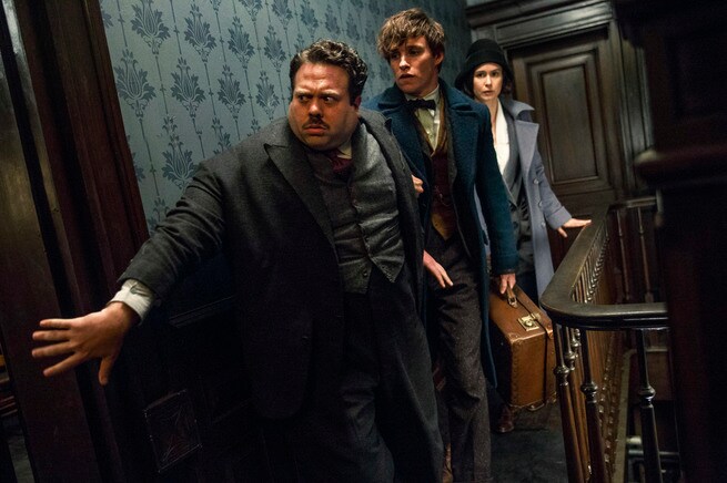 Dan Fogler, Eddie Redmayne, Katherine Waterston