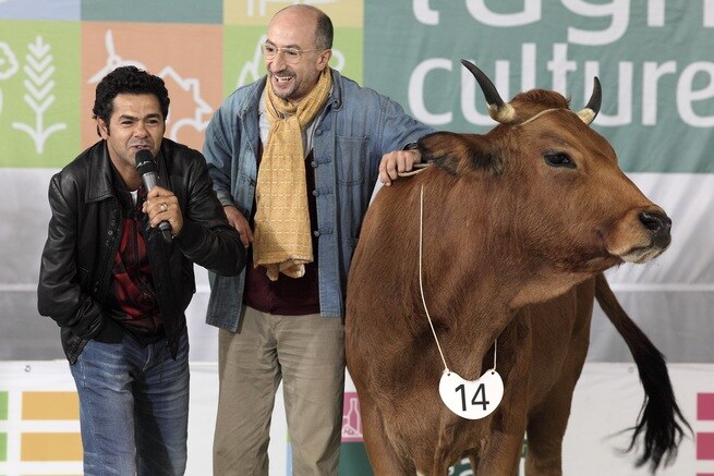 LA VACHE: IN VIAGGIO CON UNA MUCCA