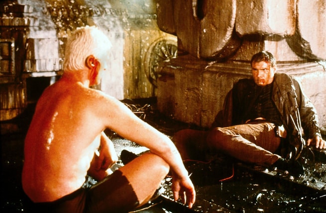 Rutger Hauer, Harrison Ford