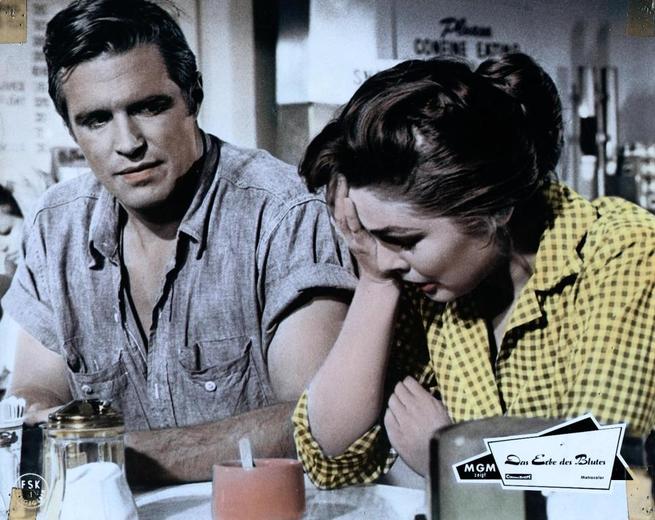 A casa, dopo l'uragano (1959) FilmTV.it A casa, dopo l'uragano (1959) FilmTV.it