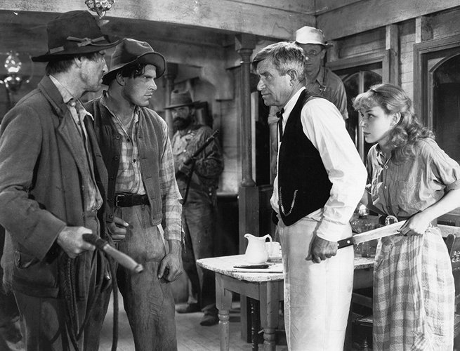 Will Rogers, Roger Imhof, Fred Kohler Jr., Anne Shirley