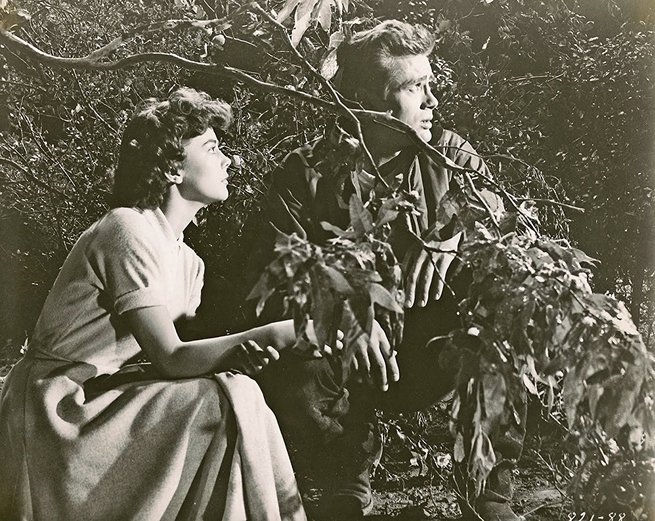 James Dean, Natalie Wood