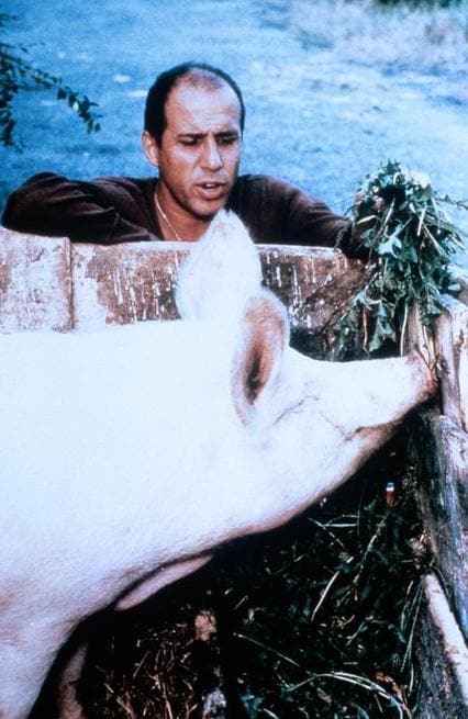 Il bisbetico domato (1980) FilmTV.it