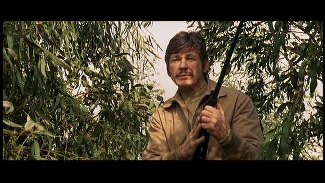 Charles Bronson