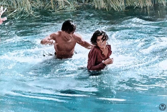 Robert Blake, Katharine Ross