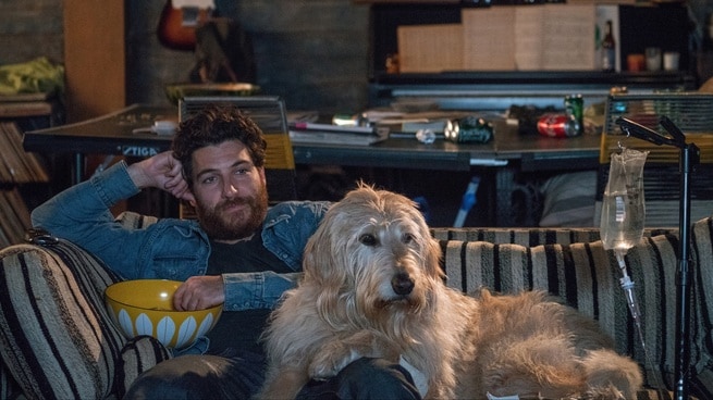 Adam Pally