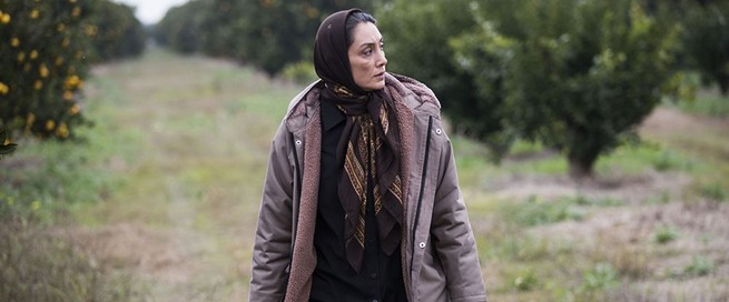 Hediyeh Tehrani