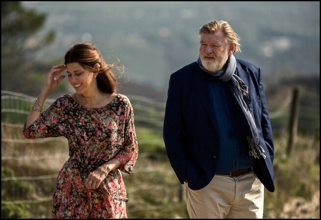 Marisa Tomei, Brendan Gleeson