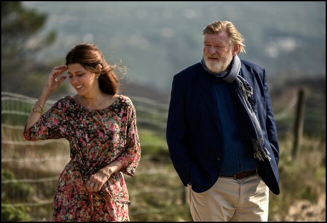 Marisa Tomei, Brendan Gleeson