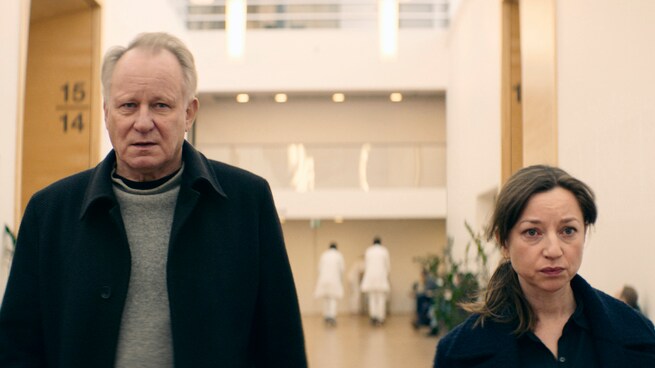 Andrea Bræin Hovig, Stellan Skarsgård