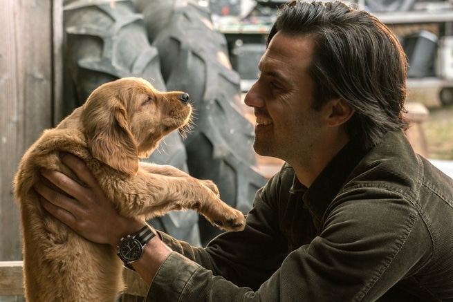 Milo Ventimiglia