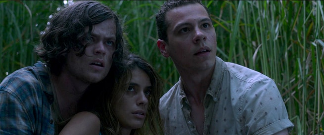 Laysla De Oliveira, Harrison Gilbertson, Avery Whitted