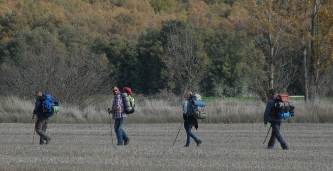 James Nesbitt, Yorick Van Wageningen, Deborah Kara Unger, Martin Sheen