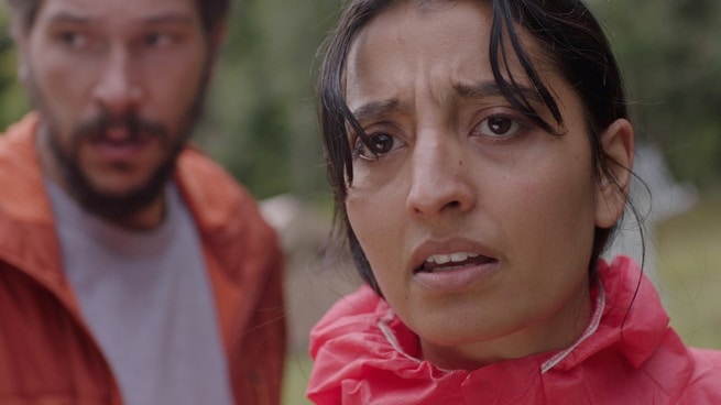 Joel Fry, Ellora Torchia