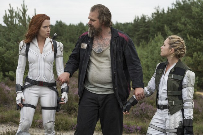 Scarlett Johansson, Florence Pugh, David Harbour