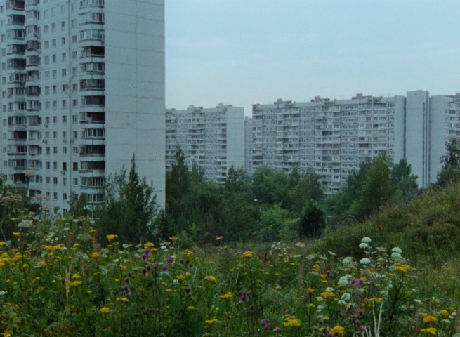 scena