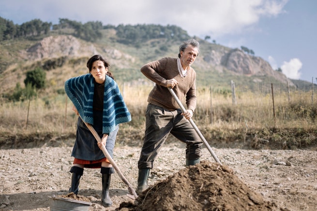 Claudia Gusmano, Fabrizio Ferracane