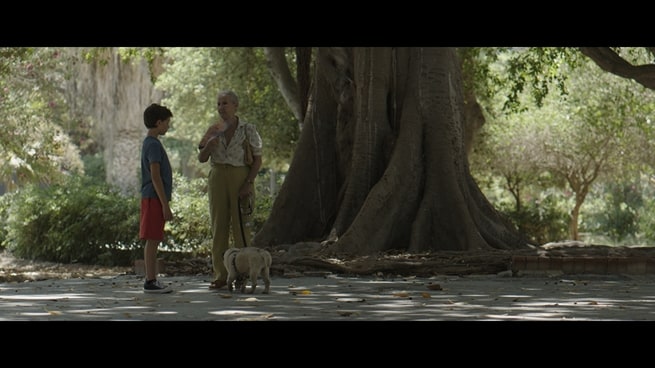 Marco Fiore, Aurora Quattrocchi