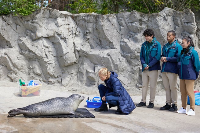 Jessy Schram, Eric Freeman, Sasha Diamond, Ralph Adriel Johnson