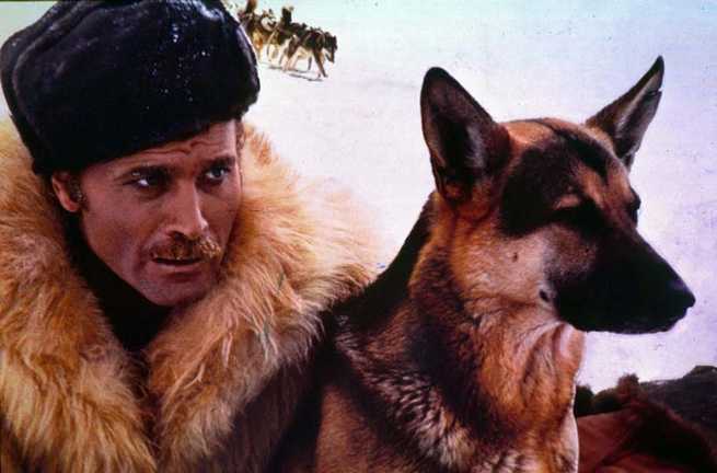 Il ritorno di Zanna Bianca (1974) FilmTV.it