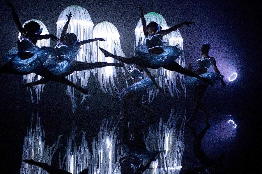 LOTTA SOCIALE A PASSO DI DANZA