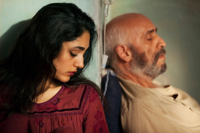 Golshifteh Farahani, Hamid Djavdan