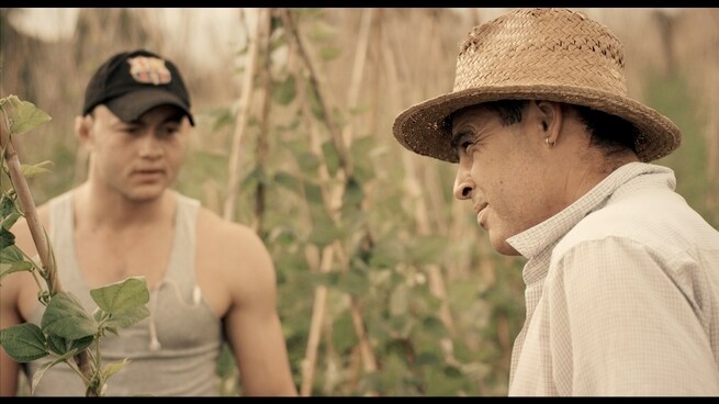 THE PLAGUE: UN "WESTERN" SULL'INCERTEZZA CONTEMPORANEA