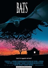 Bats