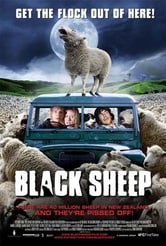 Black Sheep