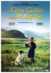 Il cane giallo della Mongolia