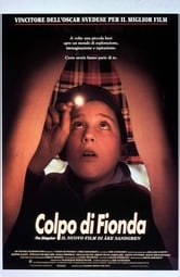 Colpo di fionda